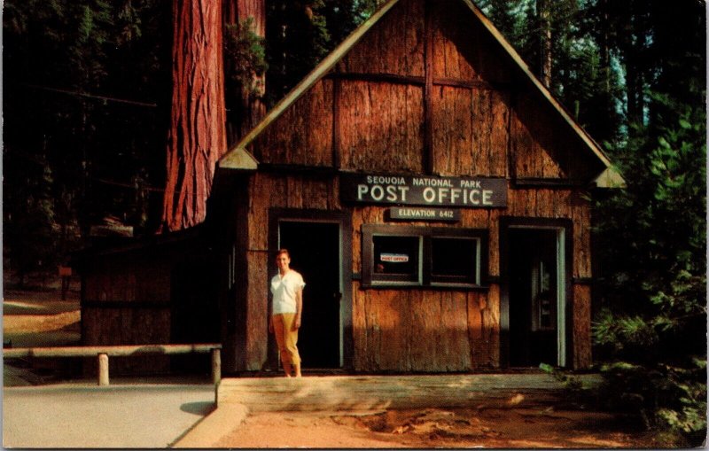 Postcard United States Post Office Building in Sequoia National Park, California