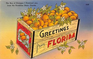 Box of Oranges Florida, USA Fruit Assorted Unused 