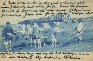 china, Ploughing Donkeys, Railway Bridge in Unknown Chinese Area (1903) Postcard