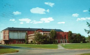 Postcard The Alumni Memorial Gymnasium Landmark Indoor Field House Orono Maine