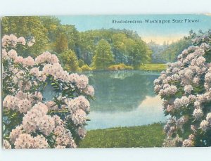 Pre-Chrome WATER SCENE Vancouver & Tacoma & Spokane & Seattle WA AH5582