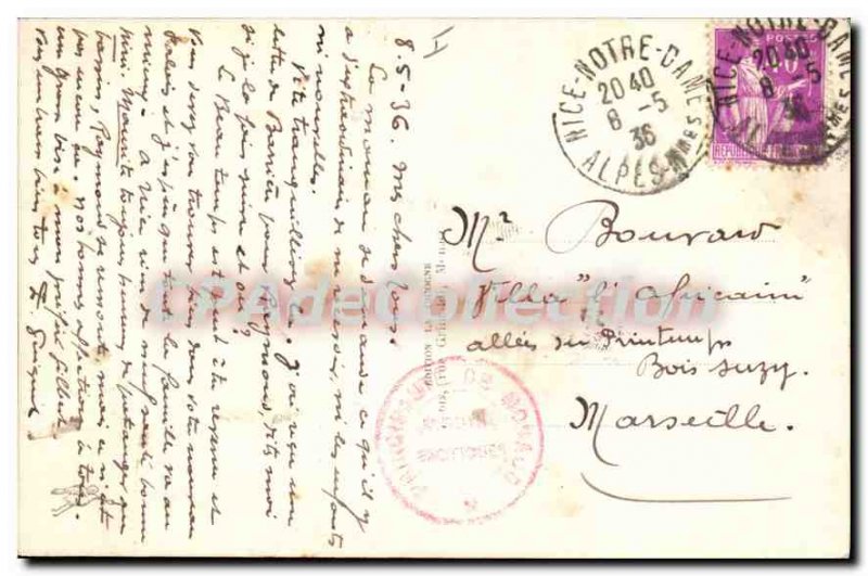 Old Postcard Monaco The Exotic Garden