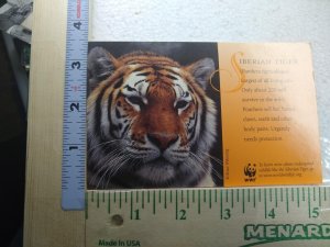 Postcard Siberian Tiger, World Wildlife Fund, Washington, District of Columbia