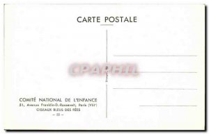 Old Postcard Blue Bird bird bird fees