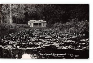 Hackwood Park Basingstoke Hampshire England Vintage RPPC Real Photo Lilypool