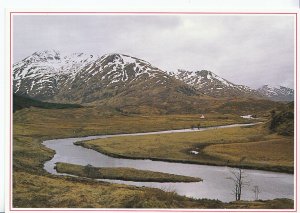 Scotland Postcard - Deep in The Heart of Glen Affric   DD708