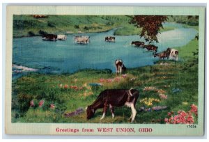 c1910's Greetings From West Union Ohio OH Unposted Antique Cows Postcard