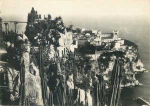 Monaco Monte Carlo 1948 Exotic Garden panorama postcard 