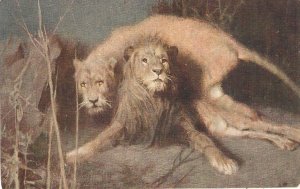 Tadé Styka. The Lions Fine painting, vintage French. artist drawn PC