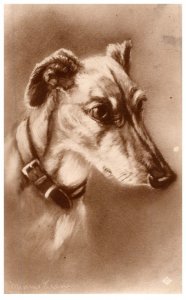 Dog ,    ,   artist signed
