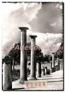 Postcard Modern Vaison La Romaine Promenade