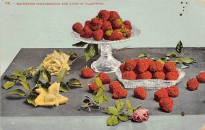 Midwinter Strawberries California, USA Fruit Assorted 1908 