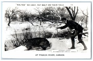 Pigeon River Canada RPPC Photo Postcard Giant Rabbit Long Gun Hunting c1940's