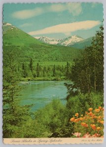 Alaska~Scenic Spring Splendor~Wild Poppies~Mountains~Streams~Continental PC 