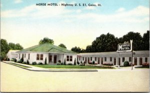 Vtg Cairo Illinois IL Morse Motel Highway 51 Roadside 1950s Postcard 