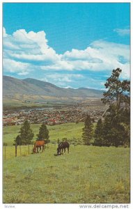 An Elevated View Of Scenic Kamloops, Sportsman´s Paradise, Kamloops, Briti...