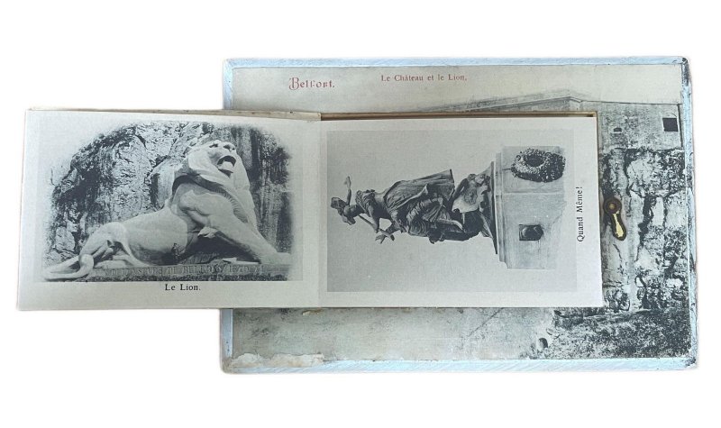 France Belfort castle and lion multi views inside rare postcard 