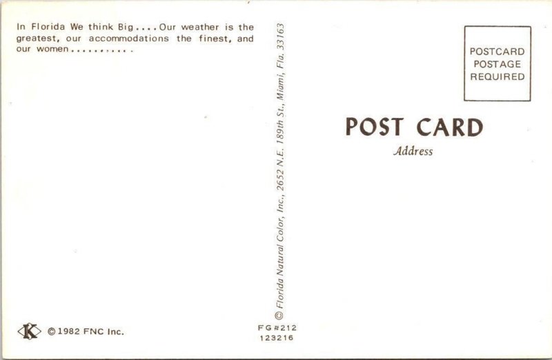 Florida Risque Comic THINK BIG Busty Redhead~Red Bikini BATHING BEAUTY Postcard