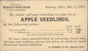 Kinsey Ohio OH Apple Seedlings Kinsey's Fruit Farm 1884 Postal Card