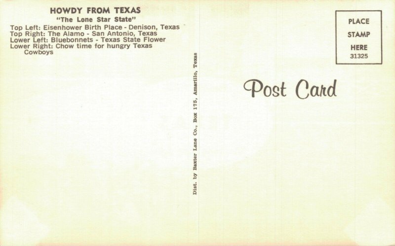 USA Howdy From Texas The Lone Star State Multiview Vintage Postcard 08.13
