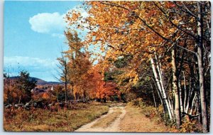 Postcard - Fall In The Country, Fairview Hotel - Bridgewater, Canada