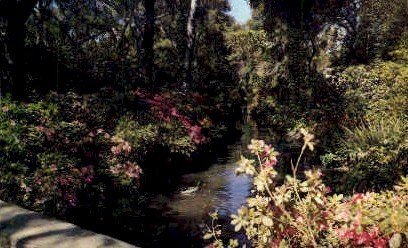 Descanso Gardens - La Canada, CA