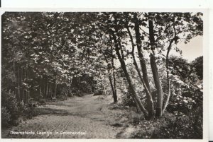 Netherlands Postcard - Heemstede, Laantje In Groenendaal - Ref 14055A