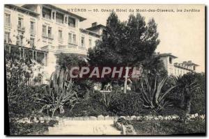 Old Postcard Hyeres Grand Hotel Mount of gardens Birds