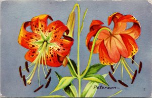 Turk's Cap Lily Orange Flower Peterson Artist Postcard G45