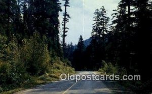 US Highway 199, Crescent City, Cave Jct - Grants Pass, Oregon OR  