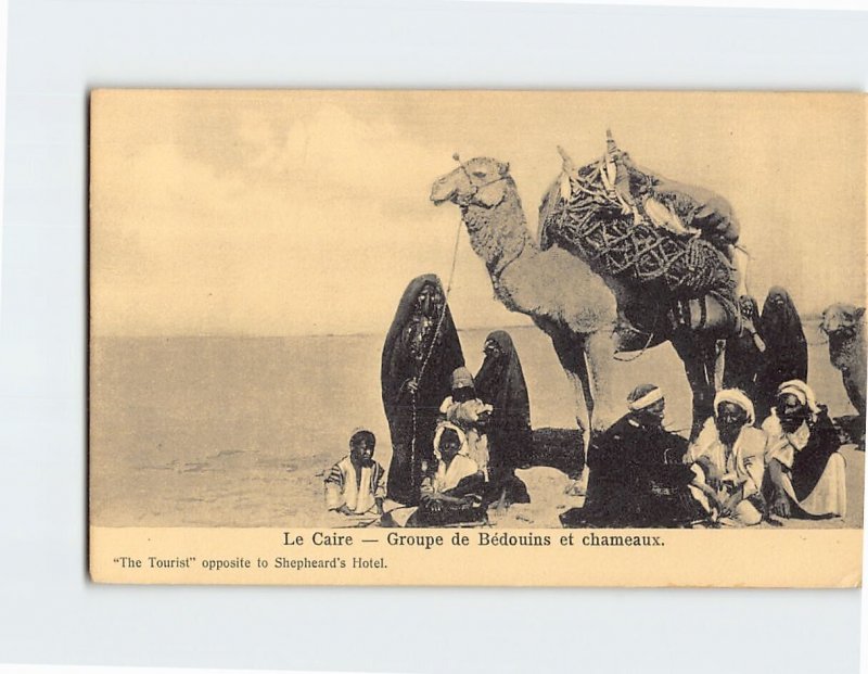 Postcard Groupe de Bédouins et chameaux Le Cairo Egypt