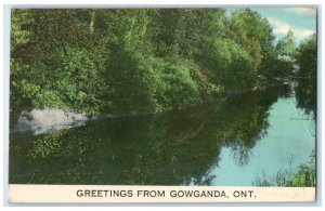 c1910 River View Greetings from Gowganda Ontario Canada Antique Postcard