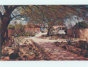 Unused Pre-1980 LODGE SCENE Tucson Arizona AZ J6978