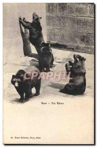 Old Postcard Bern Bears