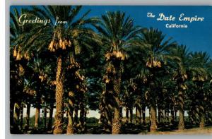 Postcard-Greetings From Date Empire California/CA
