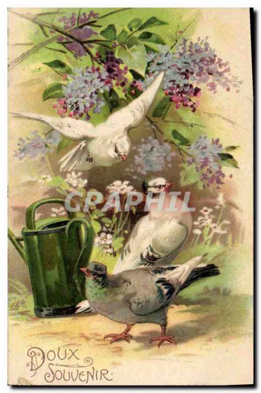 Old Postcard Fantasy Flowers Birds