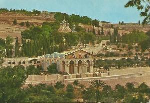 Postal 52149: JERUSALEN - Basilica y Jardines de Getsemani