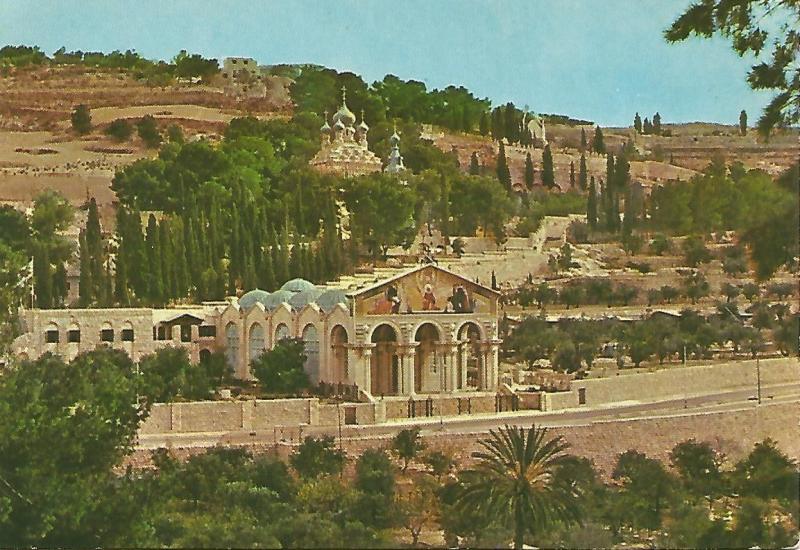 Postal 52149: JERUSALEN - Basilica y Jardines de Getsemani