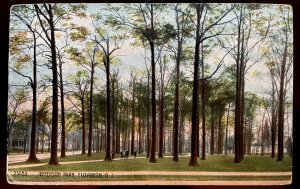 Vintage Postcard 1915 Jefferson Park, Elizabeth, New Jersey (NJ)