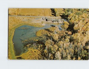 Postcard Air View, Cornell University, Ithaca, New York