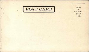 Pontiac Illinois IL Chautauqua Park c1905 Postcard