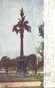 Palmetto Tree Monument - Columbia, South Carolina SC  
