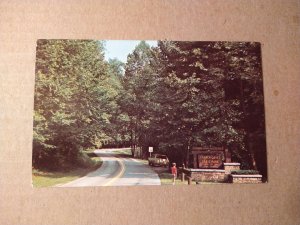 1960's Carter Cave State Park, Olive Hill, Kentucky Chrome Postcard