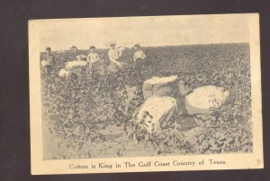 GULF COAST COUNTRY INTERNATIONAL LAND COMPANY TEXAS FARMING VINTAGE POSTCARD