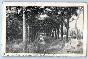 1908 Atchison Kansas KS Vintage Postcard Benedict's College Trees Road Posted
