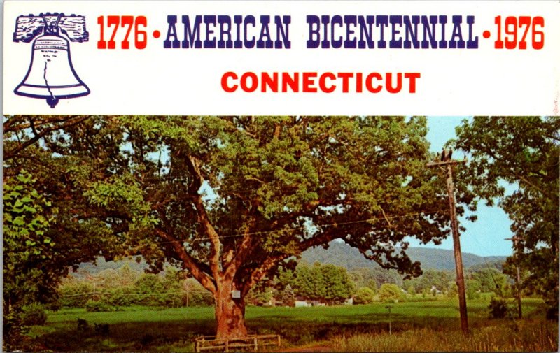 Connecticut, Gaylordsville - Washington Oak - [CT-175]