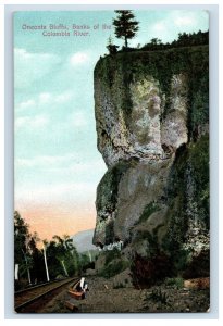 C. 1910 Oneonta Bluffs Banks Of The Columbia River Postcard P222E