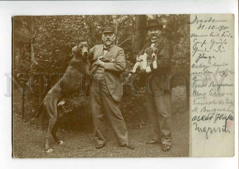 270591 Gentleman GREAT DANE & Puppy HUNT old 1900 y REAL PHOTO