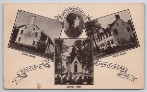 Emmitsburg MD Mother Elizabeth Ann Seton Souvenir Maryland Postcard C31