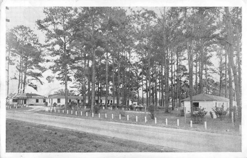 Greenville Florida birds-eye view Pine Grove Auto Court vintage pc CC720